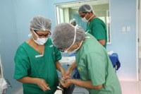 Câmara autoriza contratação de enfermeiros para atuar no combate ao câncer de mama