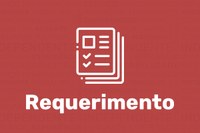 Câmara requer dados sobre atendimento pediátrico no HNSD