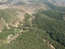 Comissão quer explicações sobre infrações ambientais que somam R$ 225 mil em multas Comissão quer explicações sobre infrações ambientais que somam R$ 225 mil em multas