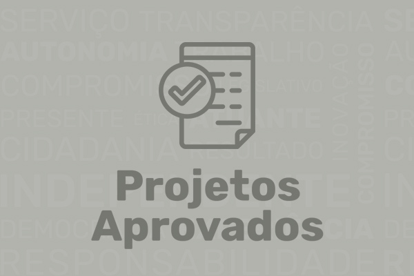 Confira os últimos Projetos de Lei aprovados pelos vereadores de Ponte Nova