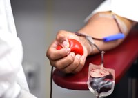 Doações de sangue e órgãos podem ser temas obrigatórios nas escolas municipais