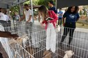 Feira promove adoção e conscientização sobre bem-estar animal Feira promove adoção e conscientização sobre bem-estar animal