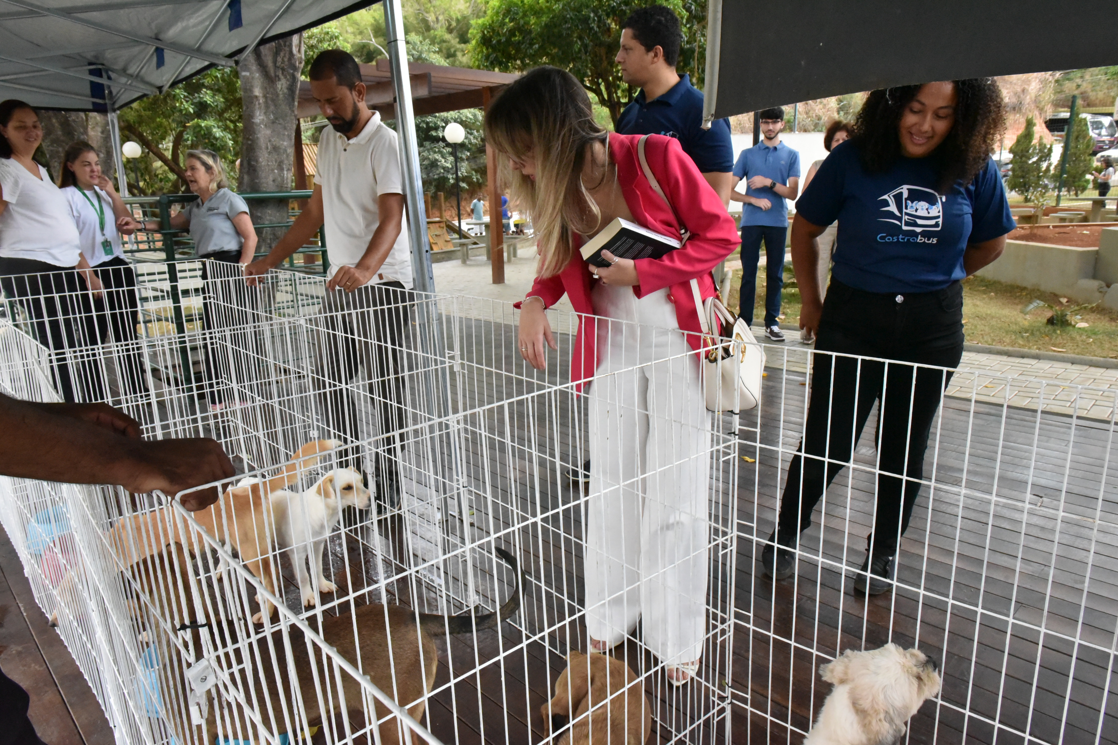 Feira promove adoção e conscientização sobre bem-estar animal