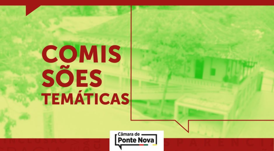 Nomeados novos membros das Comissões Temáticas para o biênio 2019/2020