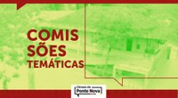 Nomeados novos membros das Comissões Temáticas para o biênio 2019/2020