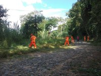 Parlamentar pede informações sobre servidores lotados na Semam