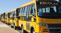 Parlamentar questiona exigência anual de laudo para transporte de alunos com TEA