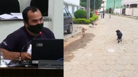 Vereador cobra providências quanto a cães de rua no bairro Rasa