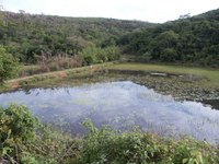 Vereador quer detalhes sobre reforço do barramento do Parque Passa Cinco