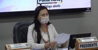 Vereadora Aninha de Fizica solicita tapa-buraco para ruas de PN