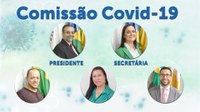 Vereadores de Ponte Nova formam comissão especial sobre a Covid-19